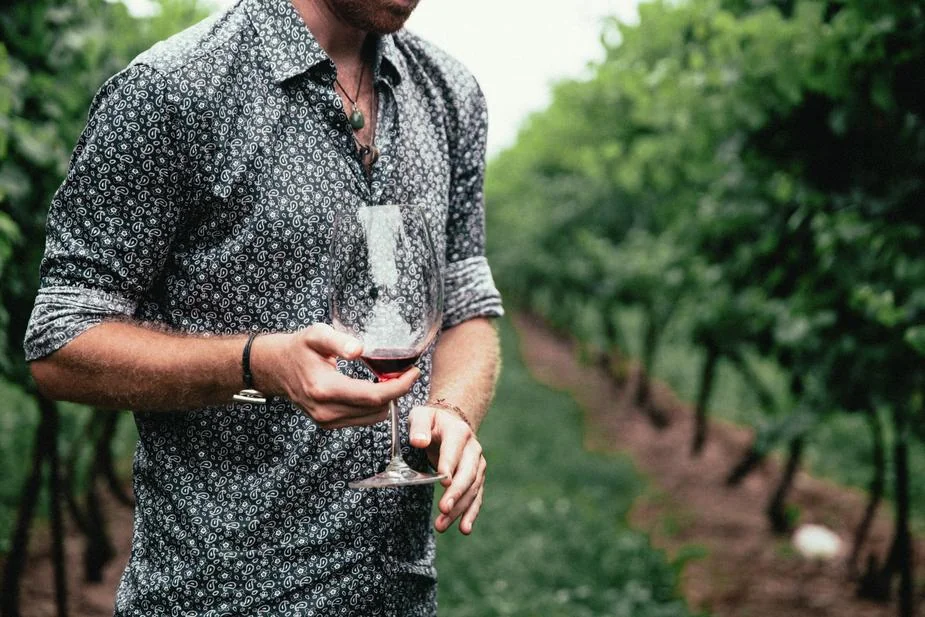 Un verre de vin au milieu des rangs de vigne